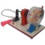 Water Turbine Model Al Small &large. P-800(D)