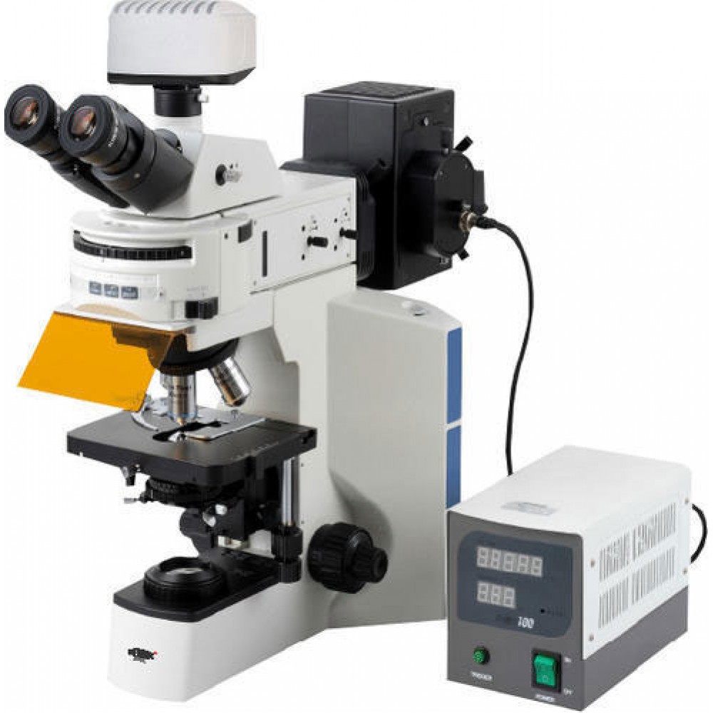 FLURESCENCE MICROSCOPE RESEARCH