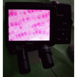 TRINOCULAR Microscope with Field Camera