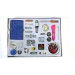  Fun with Electro-magnetism   P-801(SAD)