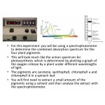  Study of absorption spectrum in Chlorophyll