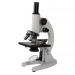 COMPOUND MICROSCOPE
