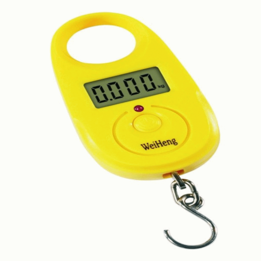 WEIGHNING DIGITAL BALANCE