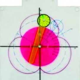 CARDIOLOGICAL CYCLOID