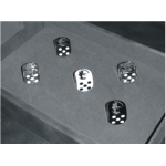 SIMULATION OF RANDOM DECAY USING ROLLING OF DICE
